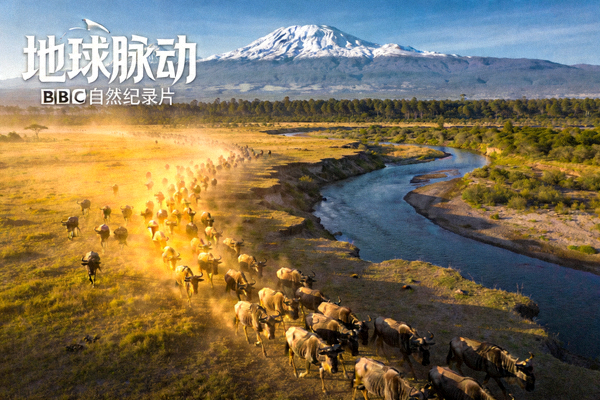 纪录片《地球脉动》精彩画面，展示壮丽自然景观